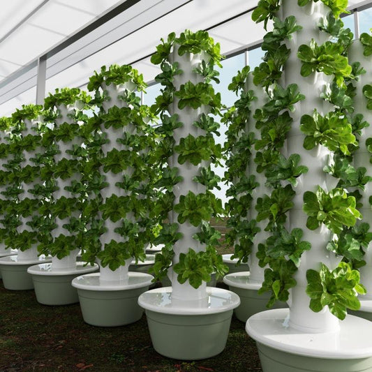Commercial Indoor Aeroponic Vertical Hydroponic Tower Garden Growing Systems With LED