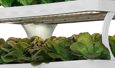 Intelligent Hydroponic Growing System Led Grow Lights Vertical Hydroponic Automated Grow System