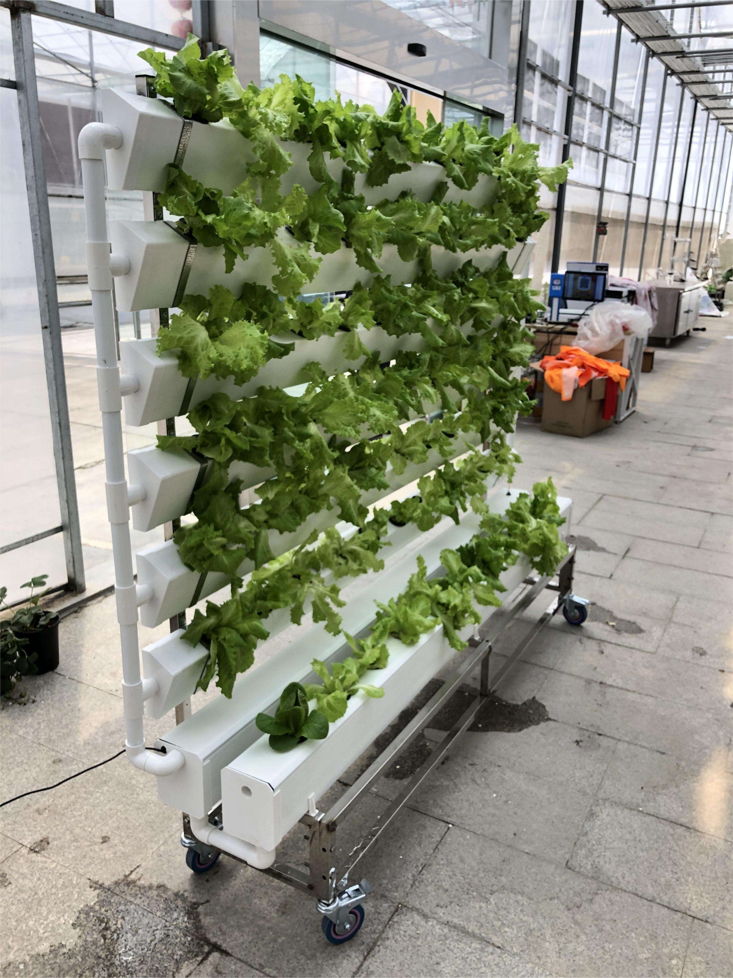 Vertical Aeroponics Greenhouse Hydroponic NFT Grow System for Vegetables, Fruits & Flowers