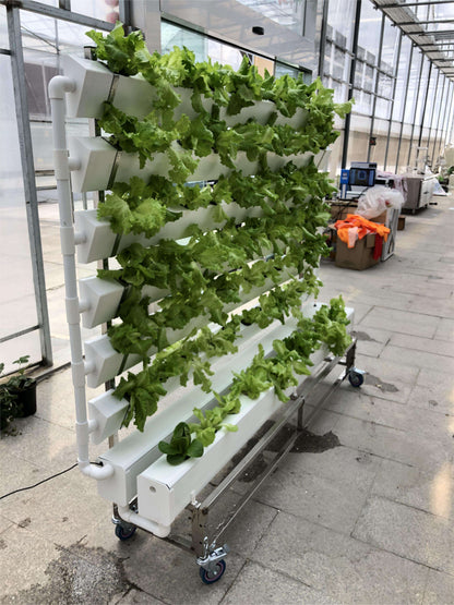 Vertical Aeroponics Greenhouse Hydroponic NFT Grow System for Vegetables, Fruits & Flowers