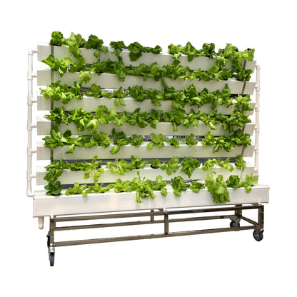Vertical Aeroponics Greenhouse Hydroponic NFT Grow System for Vegetables, Fruits & Flowers
